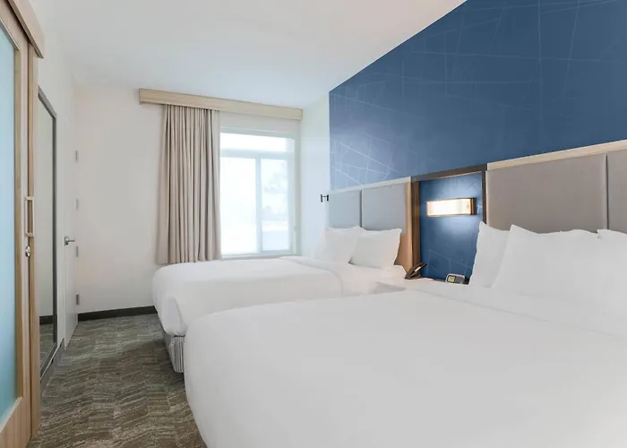 Springhill By Marriott North Tallahassee