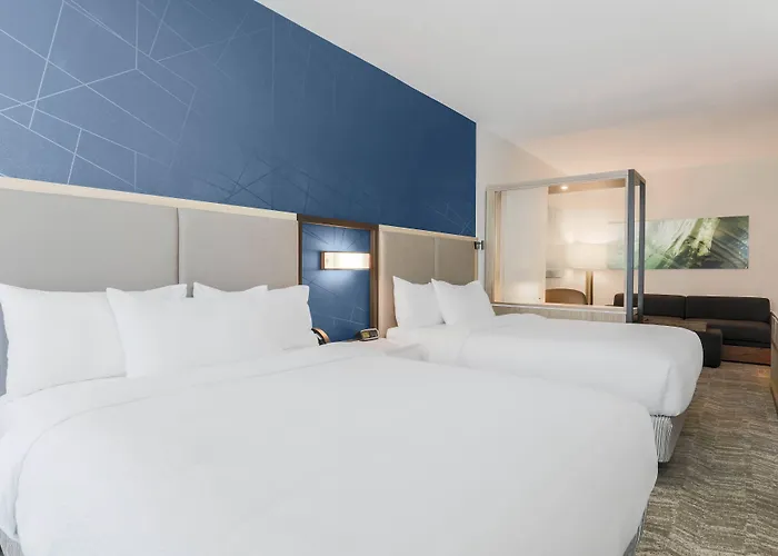 Springhill By Marriott North 3* Tallahassee