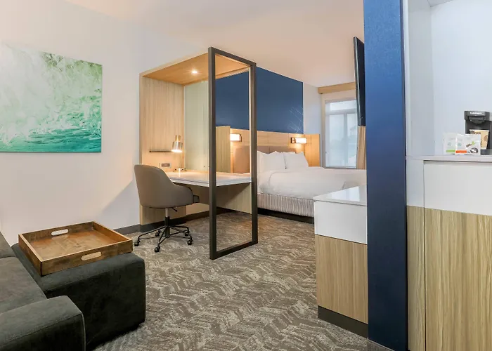 Hotel Springhill By Marriott North Tallahassee