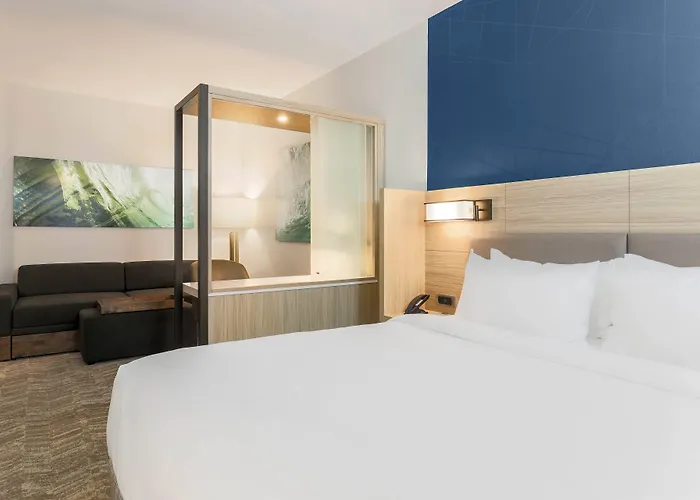 Springhill By Marriott North 3*