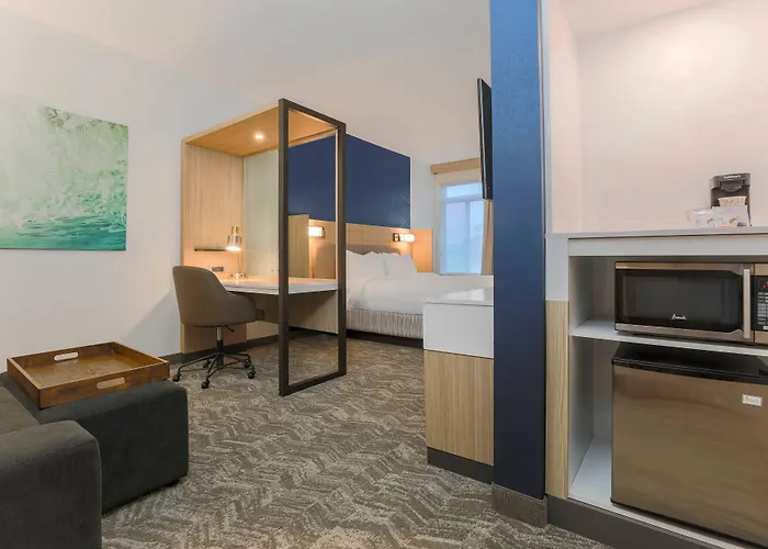Springhill By Marriott North Tallahassee
